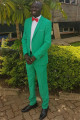 Fashion Green Simple Notched Lapel Mens Suits Sale Online