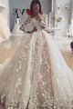 Delicate Lace Appliques Long Sleeves Tulle Floral Puffy Ball Gown Wedding Dresses