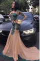 Elegant Long Sleeve Appliques Sheer Tulle Mermaid Prom Dresses for With Train